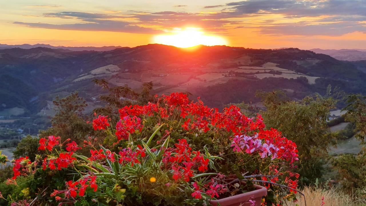 B&B Marcantonio Country House Sogliano al Rubicone Luaran gambar